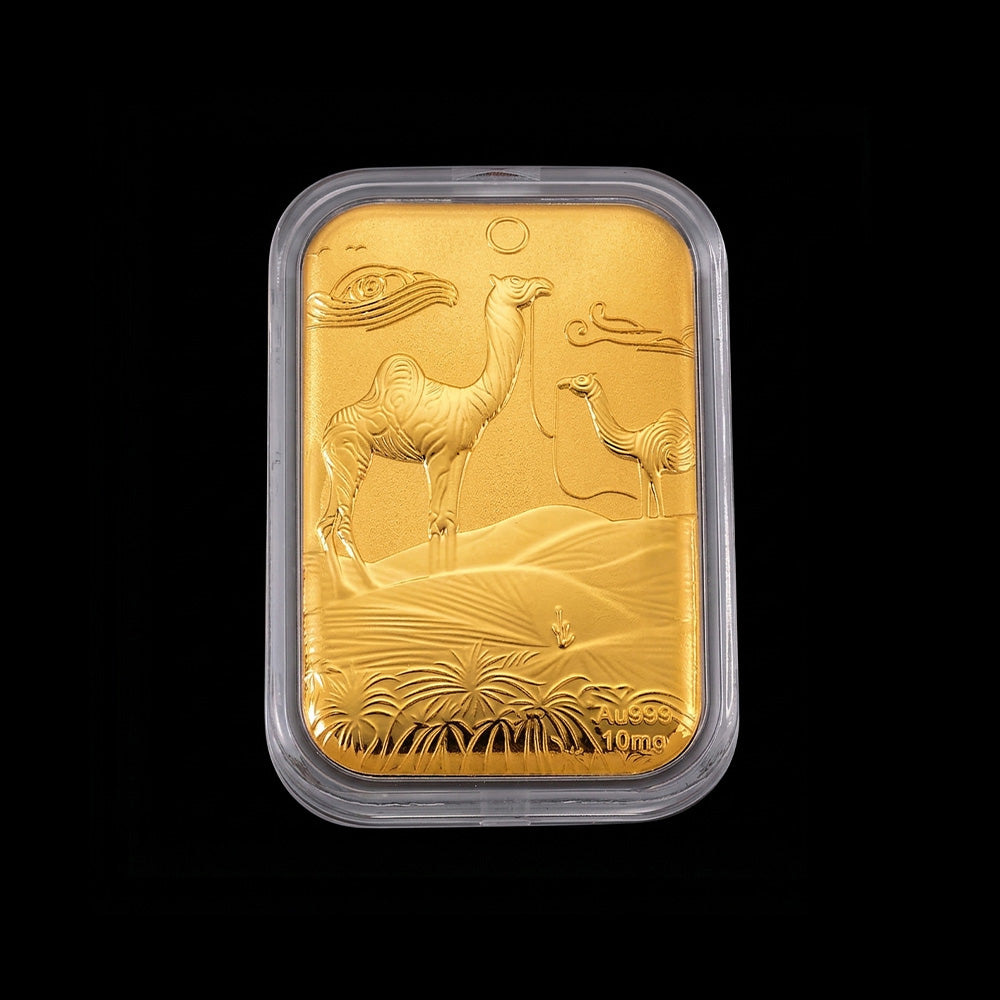 8435804,8328244,Cam-set-4