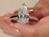 8082190,8082191,8082192,8082194,7995219,8082195,8082196,8082197,7995225,7995214,7995226,8255966