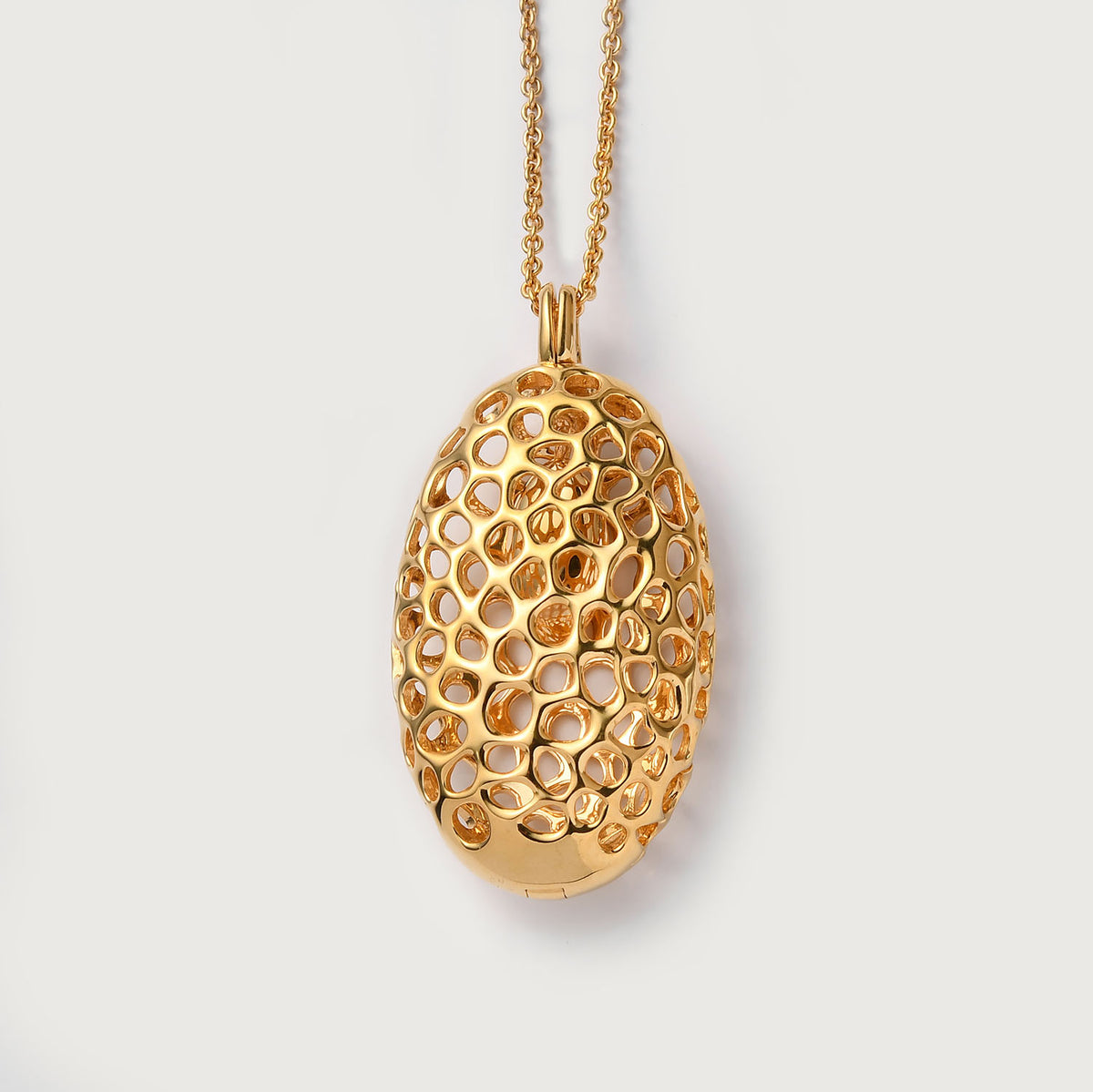 Lattice Disc Locket FREE Chain